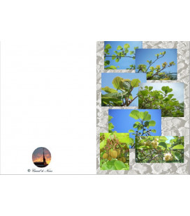 Carte amitié - (NE-c-art-3)