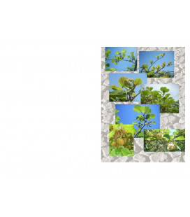 Carte Amitié - (NE-c-art-3S)