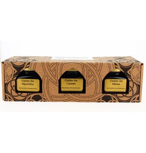 Coffret : le secret des sœurs - Condiments aux fuits noirs
