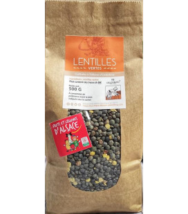 Lentilles Vertes