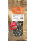 Lentilles Vertes