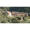 PAIX-DIEU (Monastère de la)